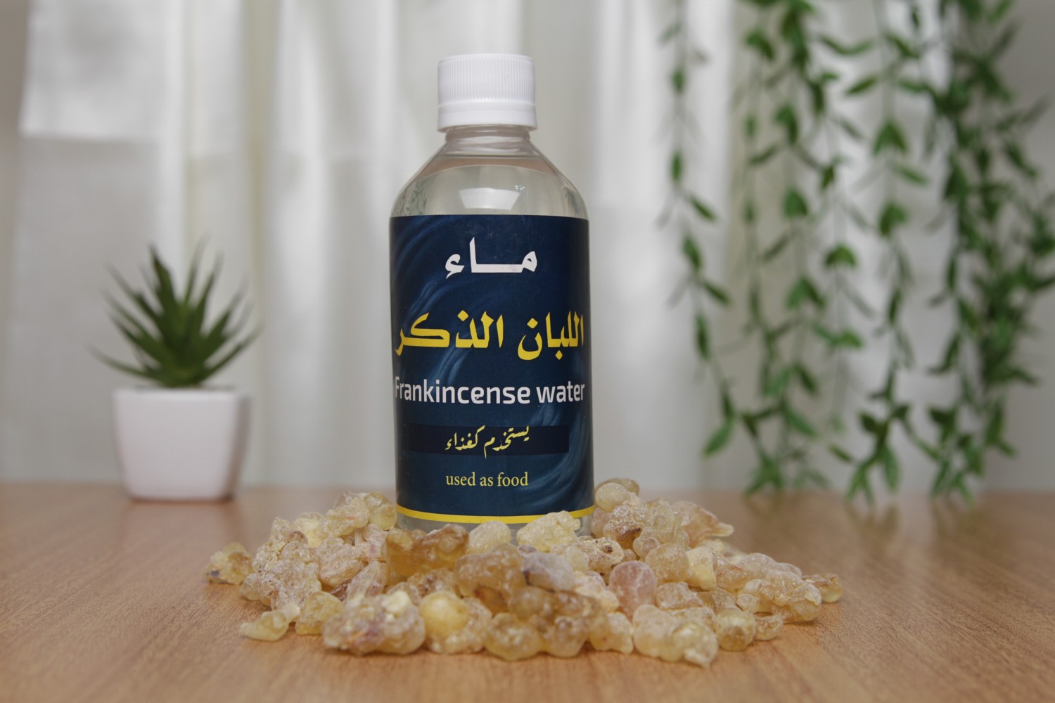 ماء اللبان المركز