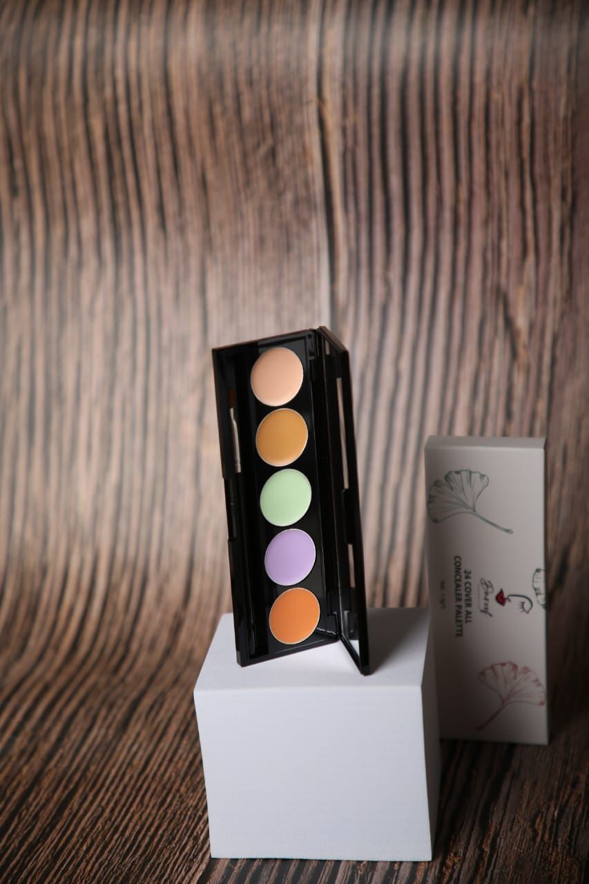 24 concealer palette